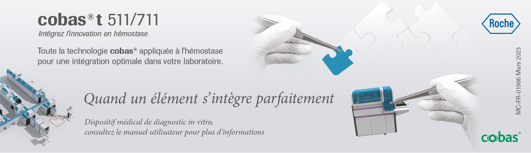 Rorche-bannière_web